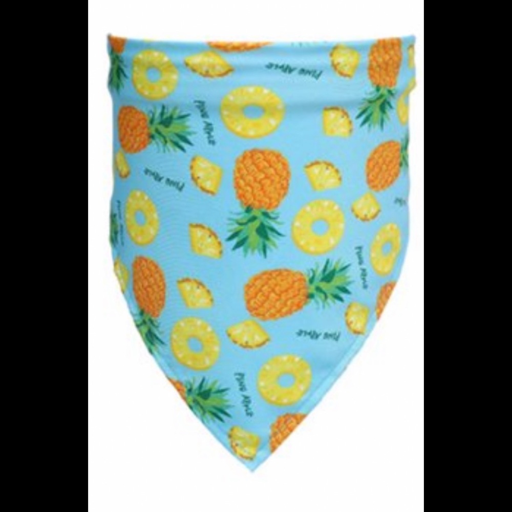 Dog Triangle Scarf Patterned Fruit Cute Puppy Bib Pet Neckerchief Dog Bandana